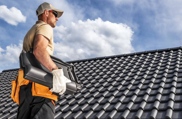 Best Roof Ventilation Installation  in Apison, TN